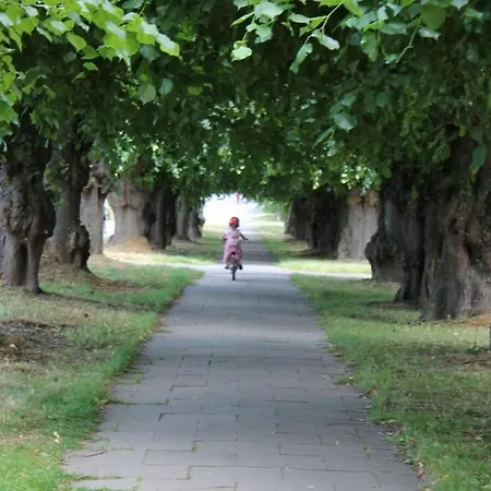 With Terrace In Warnkenhagen Kalkhorst